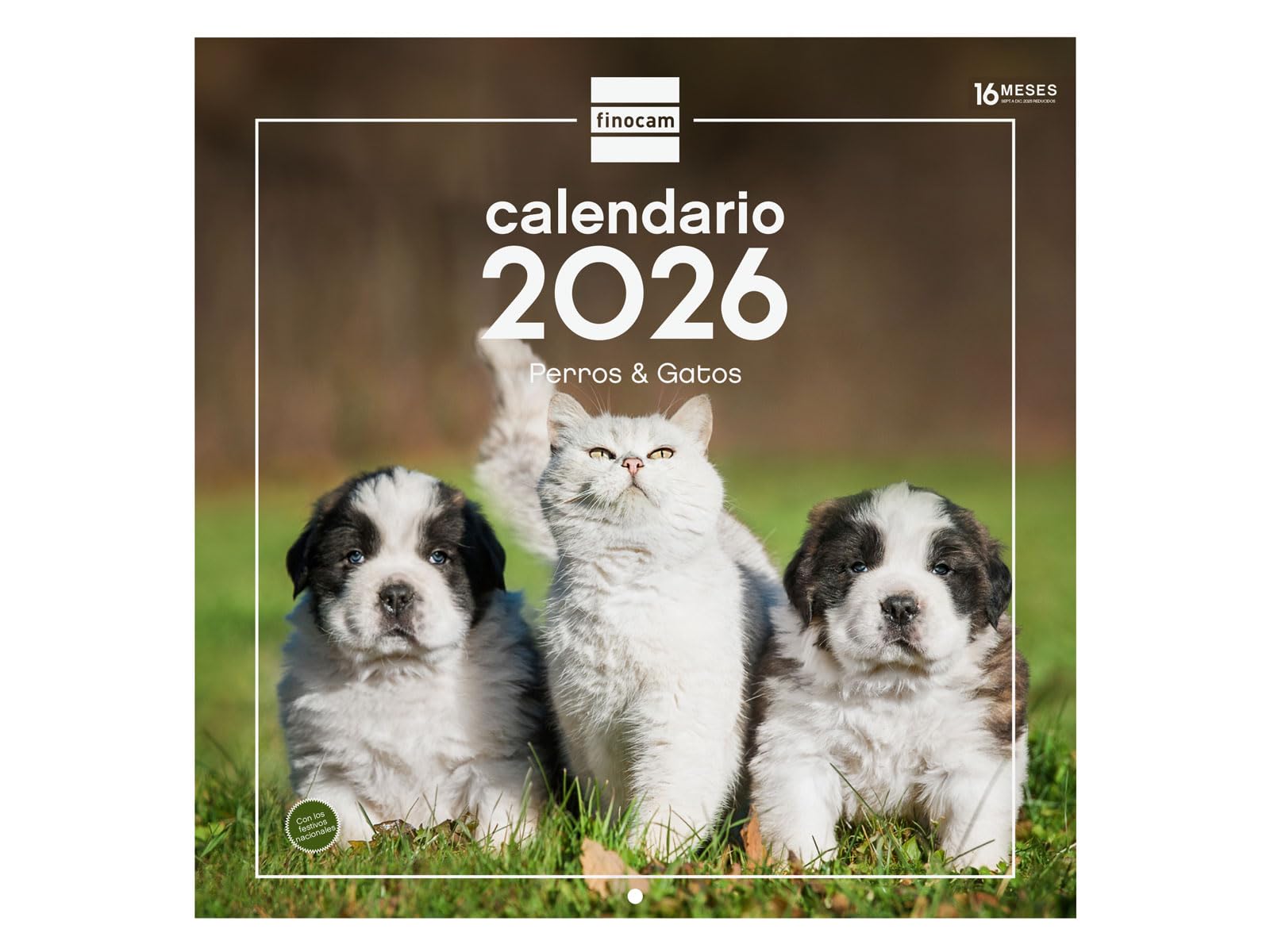 Finocam - Calendario de pared 2026 30x30 cm Mes Vista Enero - Diciembre 2026 Sep.- Dic. 2025 (4 meses) reducidos | Calendario 2026 | Imágenes The Flower Journal - Español