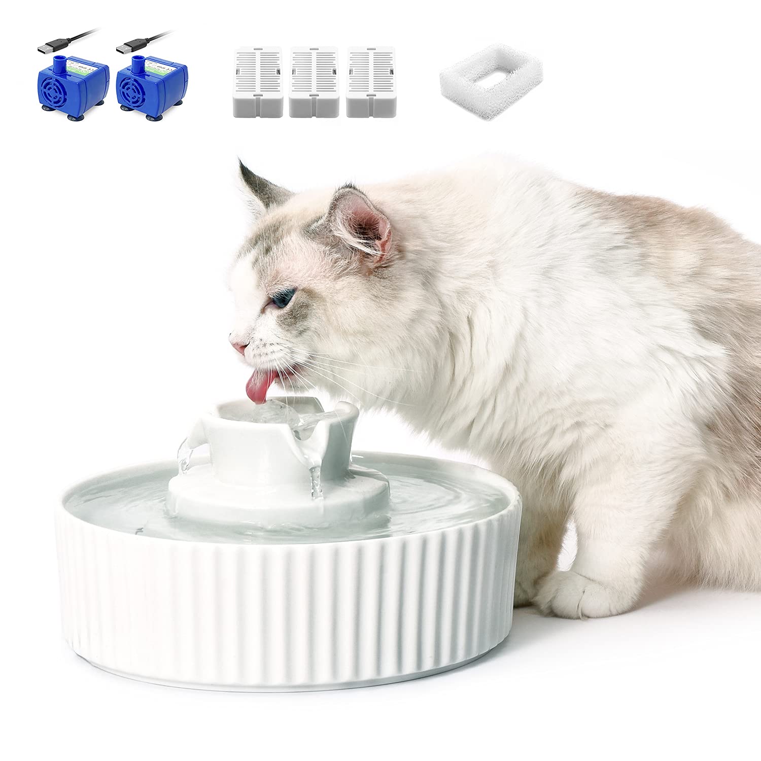 kitty fountain bowl
