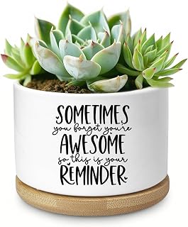 Cute Succulent Planter, Flower Cactus Plant Pot Gifts, Thank You Inspirational Gifts for Women Men Coworkers Teachers Plant Lovers, Office Home Windowsill Indoor Decor (No Plants)