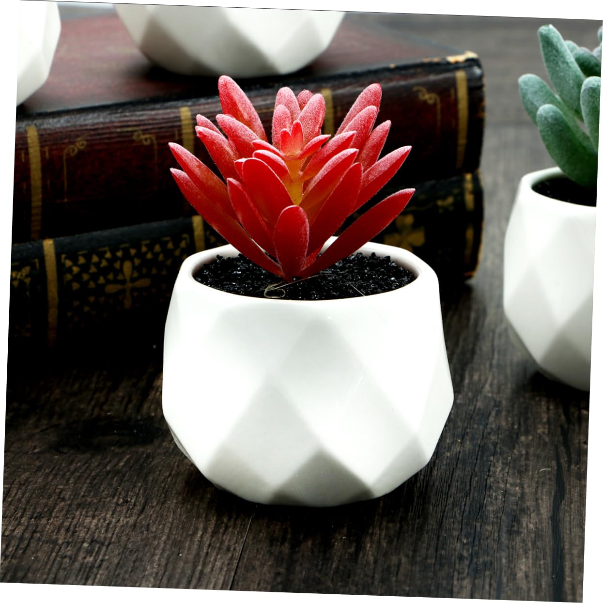 Alipis Plante Grasse Artificielle en Pot 4 Pièces, Céramique PVC | Décorations de Bureau et Comptoir, Formes Variées, Rendu Vivant, Idée Présent Créative