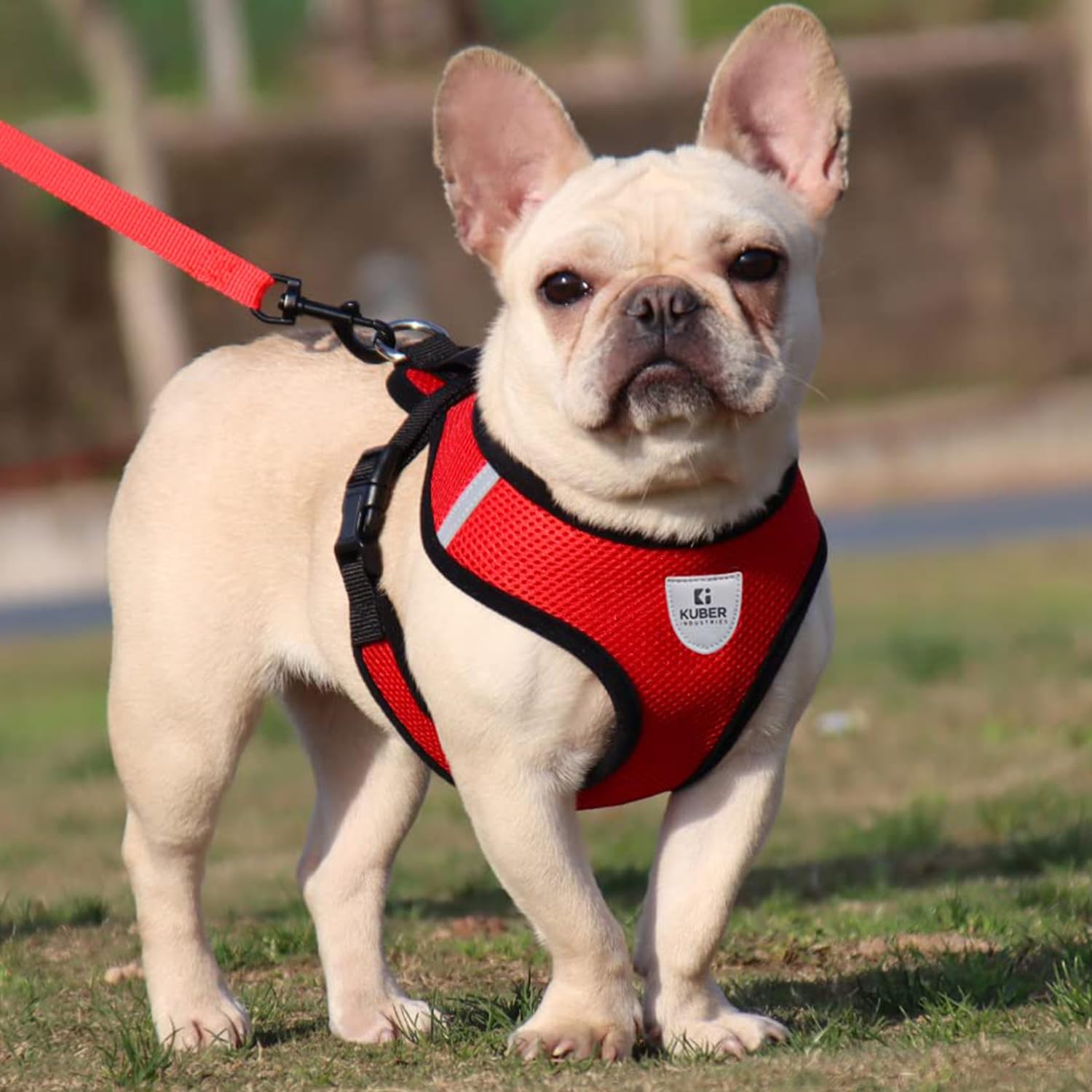 Kuber Industries Dog Harness with Adjustable Leash|Breathable Polyester Mesh|Small Size|HAT-818|Comf (B0CJ5D9GHP) Amazon Price History, Amazon Price Tracker