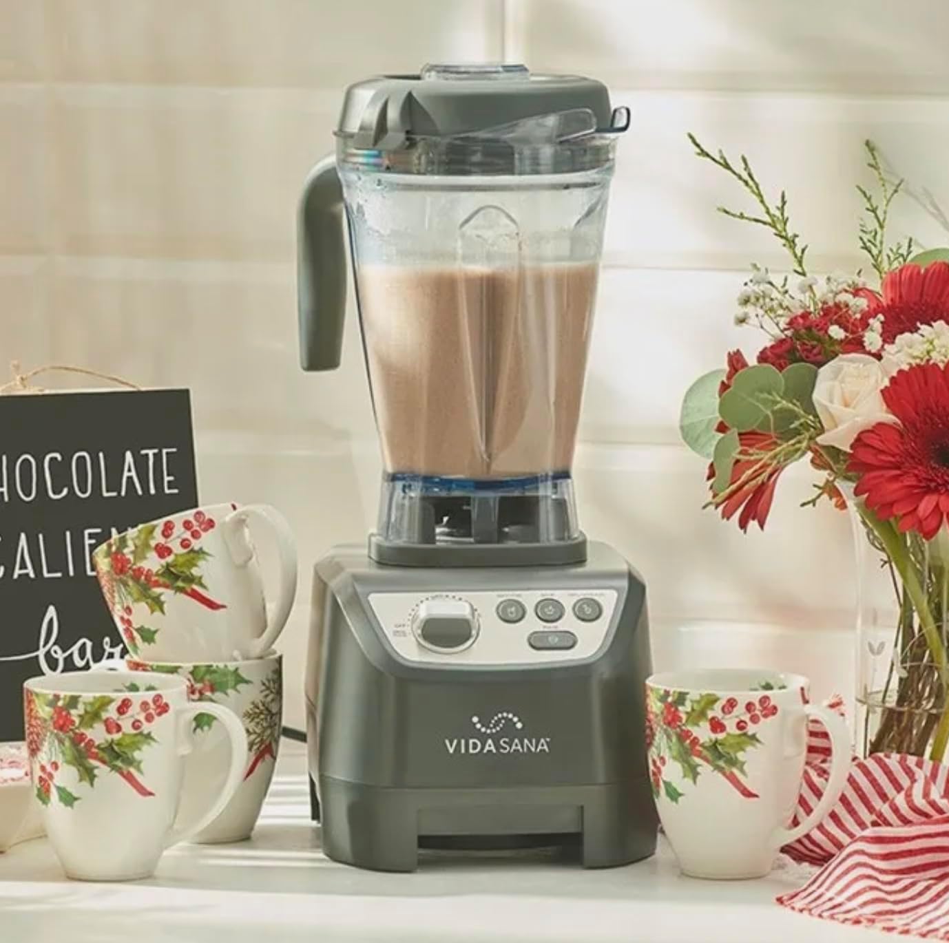 Princess House VIDA SANA ELECTRICS High-Power Blender 4571