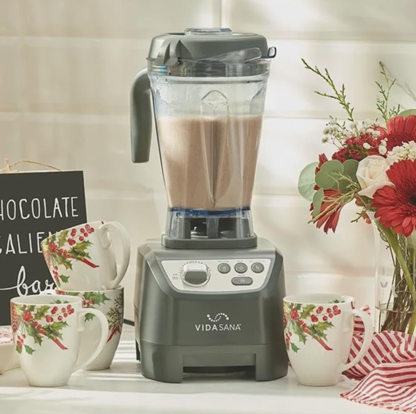 Princess House VIDA SANA ELECTRICS High-Power Blender 4571