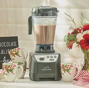 Princess House VIDA SANA ELECTRICS High-Power Blender 4571