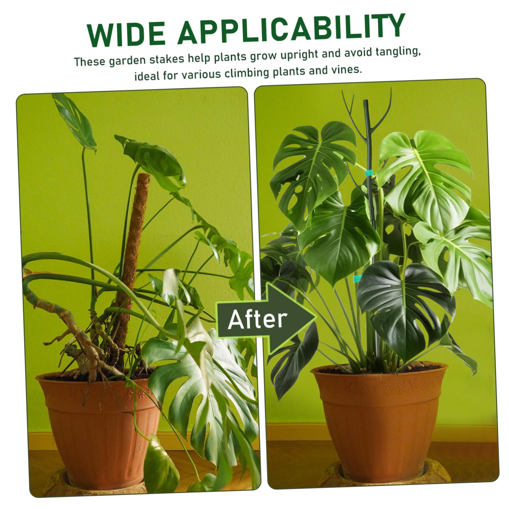 Mikikit Tuteur Plastique Support Extensible, en Vert 1 Set Clips, Attaches pour Plantes Grimpantes, pour Intérieur et Jardin