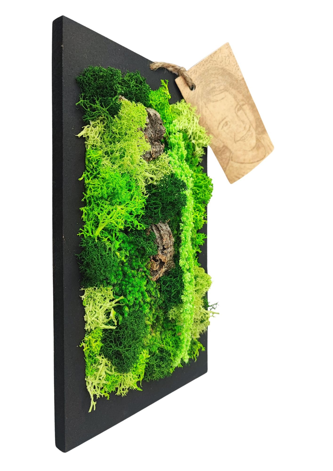 I GIARDINI DI GIULIA - Quadro da Parete in Muschio Stabilizzato | Manutenzione Zero | Design Elegante | Dimensioni Compatte 14,5x24,5 cm | Arredo Naturale | Cornice Nera, Legno