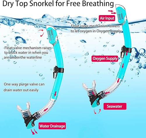 Miniatura 4 de Equipo de esnórquel para adultos con aletas, equipo de buceo para adultos, juegos de esnórquel de viaje profesional con aletas, máscara de buceo