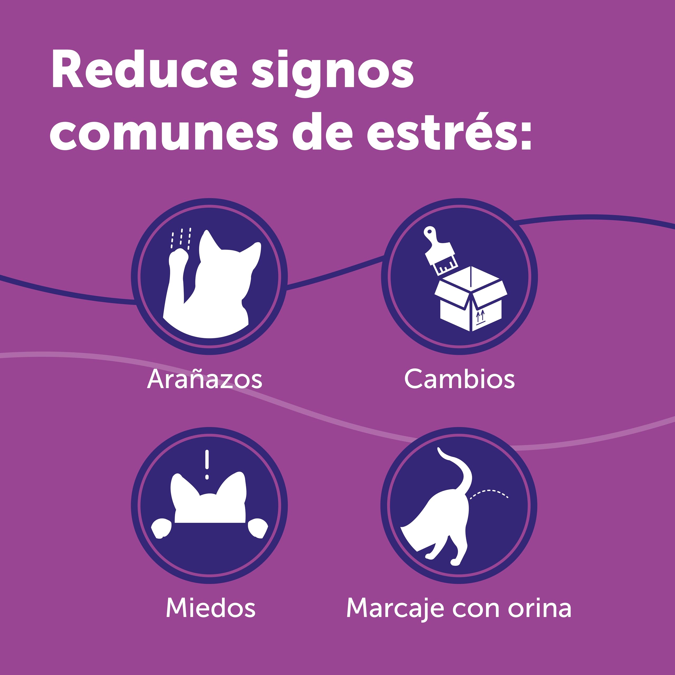 FELIWAY Classic - Difusor + Recambio de feromonas calmantes para gatos (30 días, 48 ​​ml) - Ayuda a reducir los signos más comunes de estrés. Recomendado por veterinarios. Tranquilidad y bienestar.