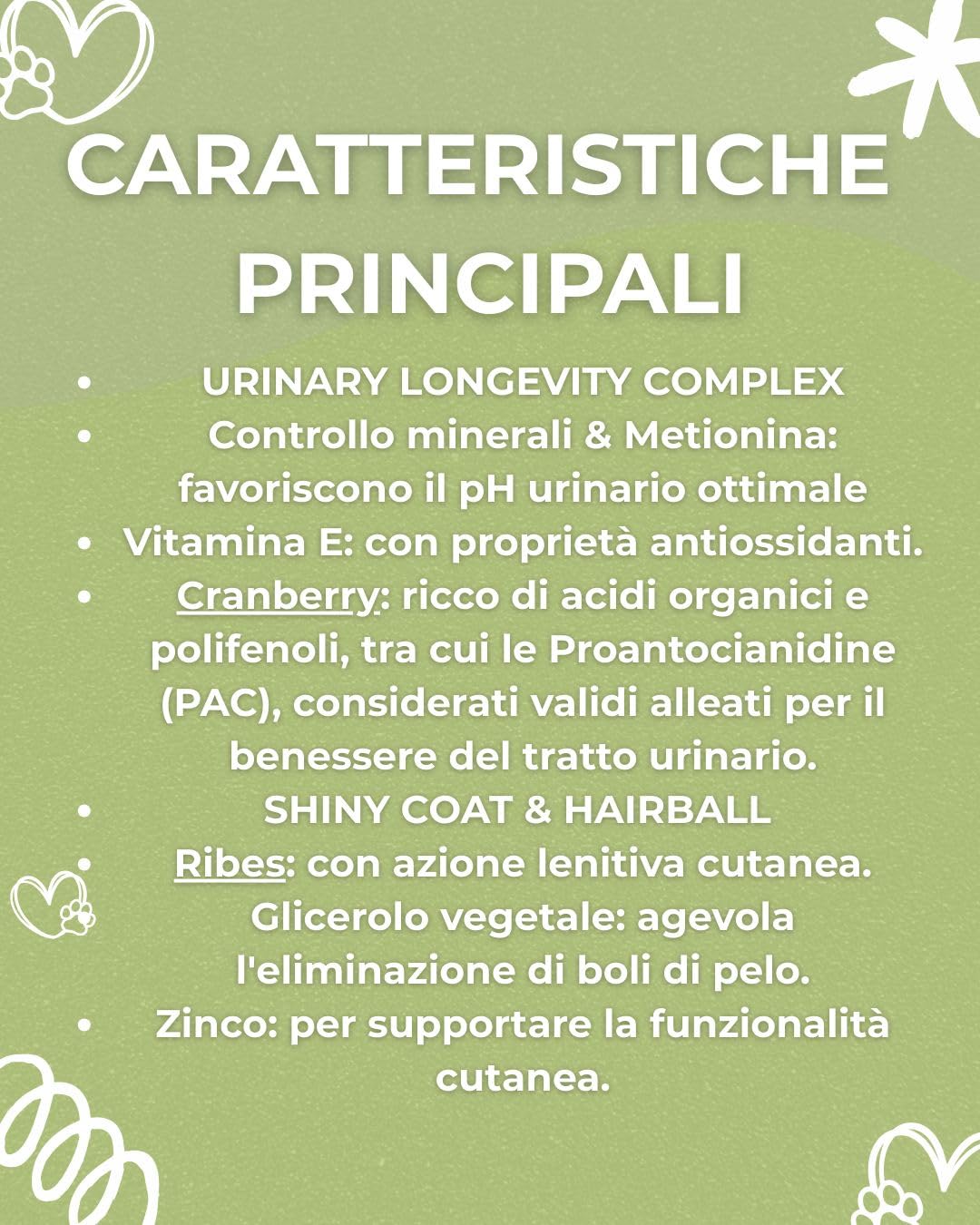 Forza 10 - Alimento completo para gatos adultos de todos los tamaños y razas en paté, para gatos adultos de todos los tamaños y razas en paté, para gatos adultos | 12 sobres de 80 gramos cada una.