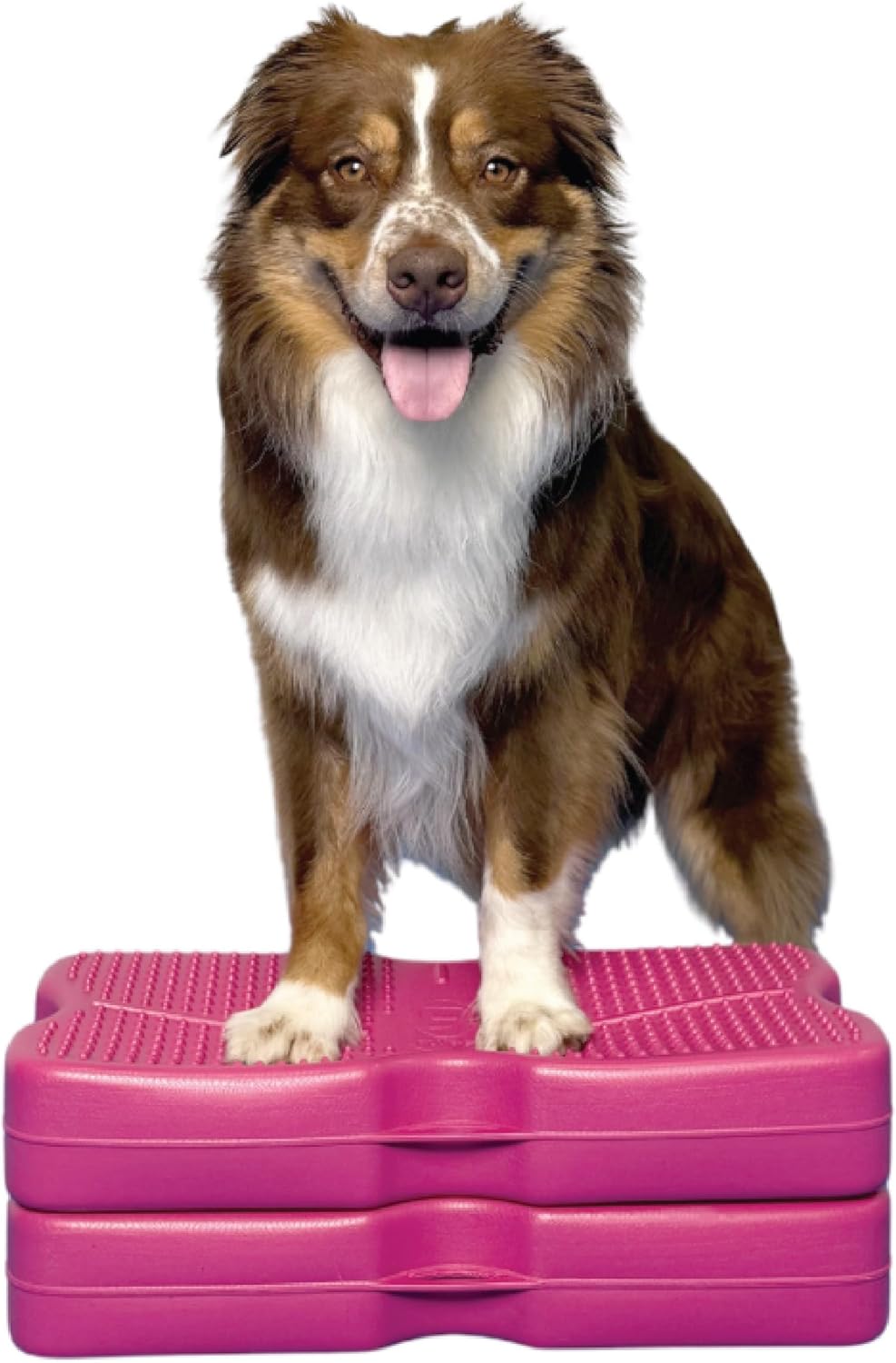 Blue-9 Propel Air Platform Kit, Professionally Designed Dog Training Accessories and Pet Products, Made in The USA, 2-Pack, Turquoise
