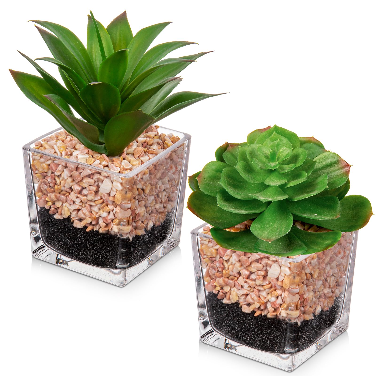 Briful Faux Succulents in Pots Set of 2 Succulents Artificial Plants Indoor Fake Plants Decor with Glass Pots for Modern Home Table Office Desk Bathroom Shelf Decor
