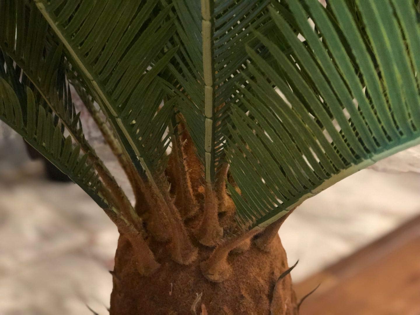 AMERIQUE Gorgeous 3 Feet Cycas Revoluta Sago Palm Tree Artificial Plant with Nursery Pot, Feel Real Technology