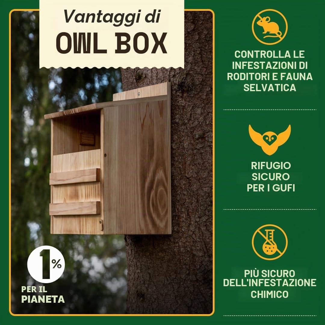 WildYard Casetta per gufi, in legno di cedro, già assemblata, facile da appendere e pulire, include trucioli di legno e viti
