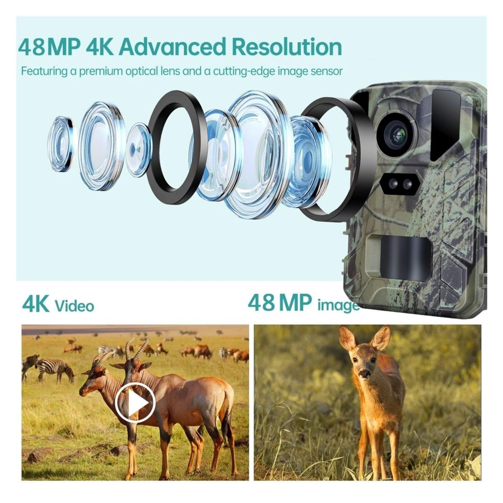 Outdoor HD4K A Raggi Infrarossi Low Glow Arction Macchina Fotografica 48MP Mini Trail Gioco Di Visione Notturna IP66 Impermeabile Caccia Della Fauna Selvatica Trappola Cam Immagini E Video Nitidi