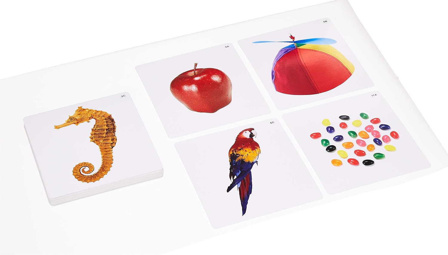 Lauri Photo Language Cards - Categories
