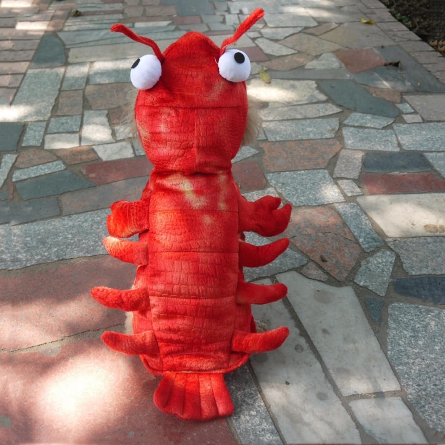 Lobster Dog Costume Funny Puppy Apparel Halloween Pet Clothes Outfit for Small Medium Large Dogs Cats(Red, 6XL)