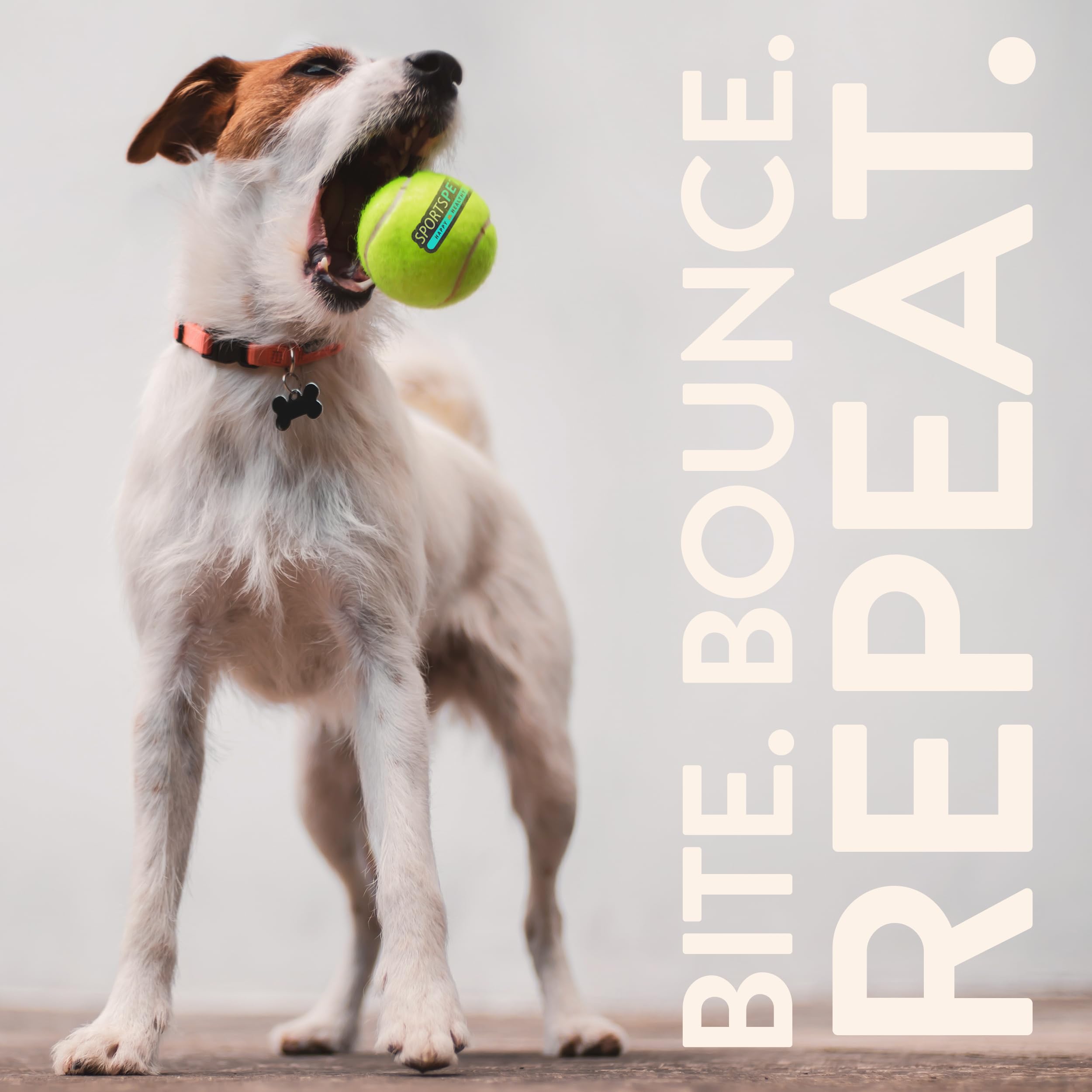 SPORTSPET Palline da tennis per cani, confezione da 12, extra rimbalzanti, non tossiche, durevoli, di lunga durata, galleggianti per cani, palline da tennis standard (64 mm)