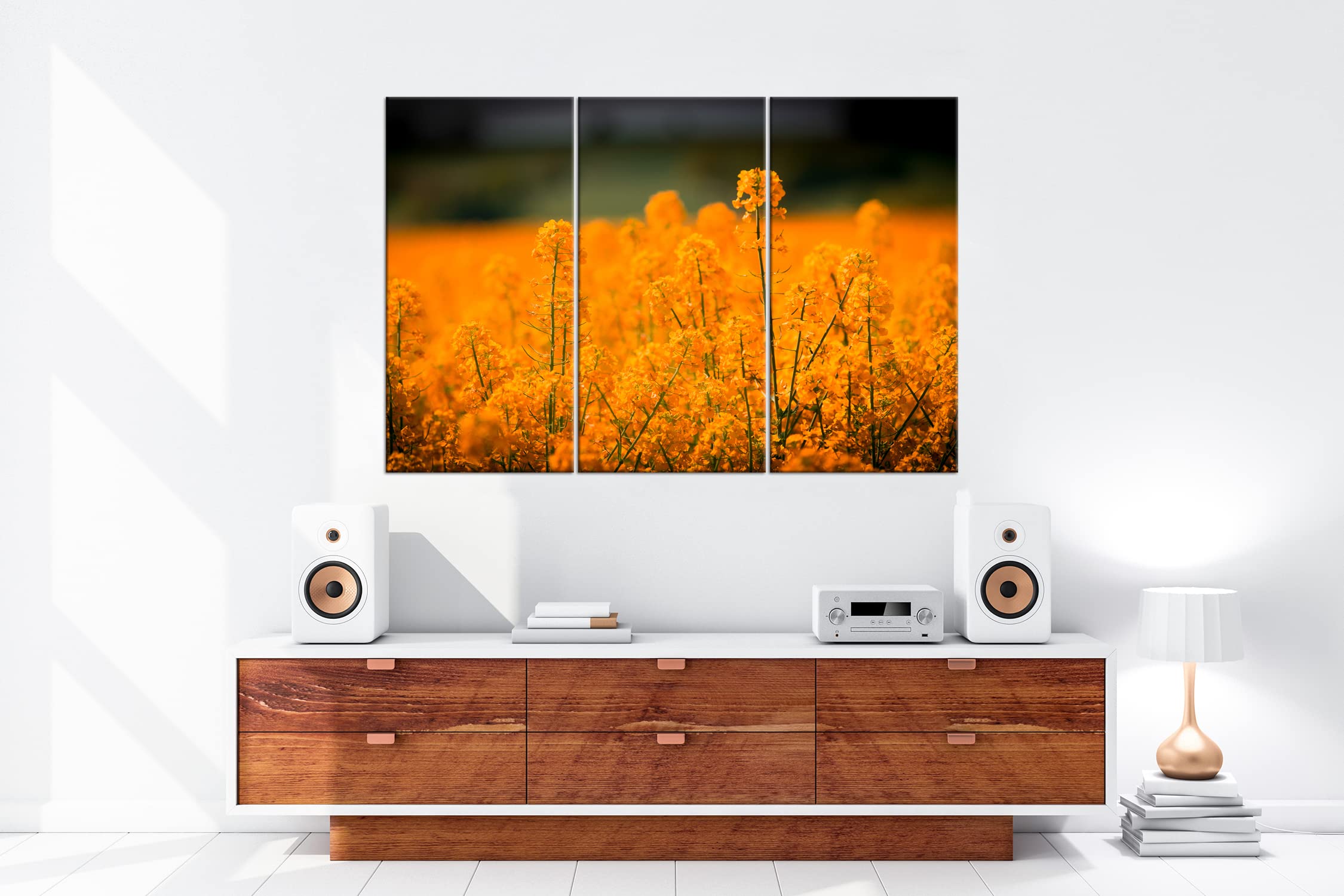 Large Champ de Colza comme Impression sur toile Motif montée sur cadre en bois véritable, Impression numérique de qualité avec cadre, pas poster ou Affiche, Toile, Dreiteilig (120x80)