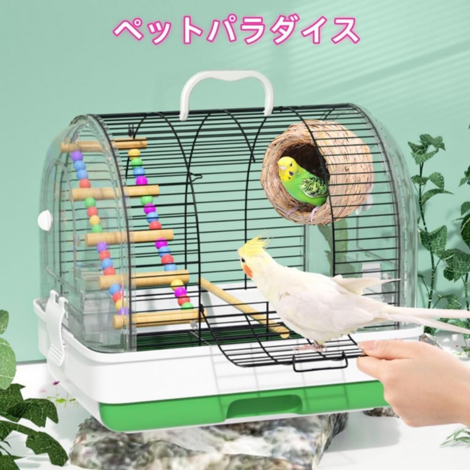 Amazon | 鳥かご お出かけ用鳥かご、お散歩用携帯鳥かご、持ち出し用