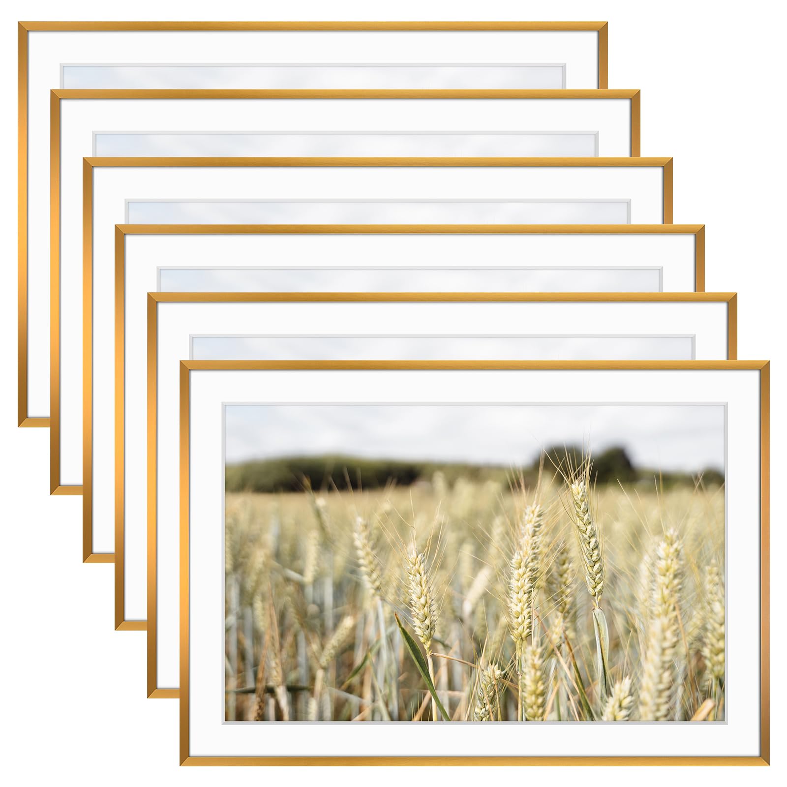 Golden State Art, Gallery Wall Frame Set of 6 - Bronze 13x19 Aluminum Photo Frames with Mat for 11x17 Pictures - 13 x 19 inch Metal Frame with Real