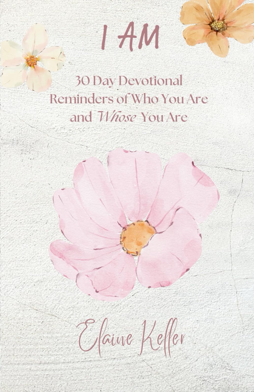 I AM: 30 Day Devotional Reminders of Who You Are and Whose You Are