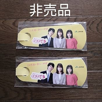 Amazon.co.jp: 農協 JA共済 そなエール 扇子 2セット 込 浜辺