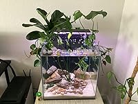 Review Image by Thiahdy Thiahdy