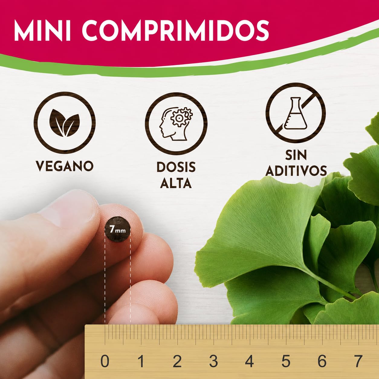 VROODY Ginkgo Biloba Vegano 6000mg Alta Dosis con Complejo de Vitaminas B | Ayuda a Reducir el Cansancio y la Fatiga | 365 Mini Comprimidos Fáciles de Tragar | Suministro para 1 Año