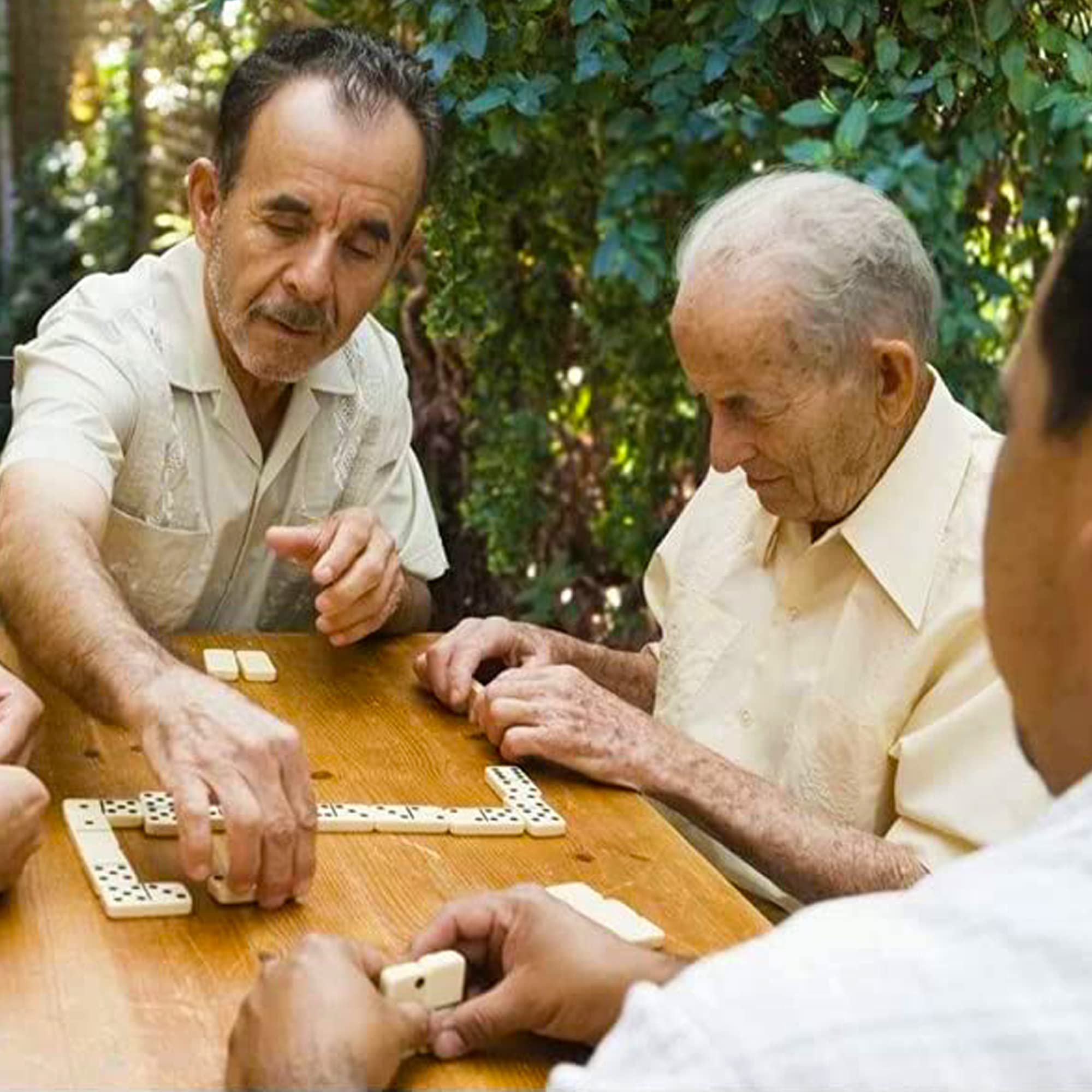 QLSKIDOmino, gęstej aminy domino pudełkowane, Wewnętrzne gry planszowe skóry, drewniane zabawki, Pakowanie zabawek planszowych dla dorosłych, Dzieci, 21cm, Tradycyjne i zabawne gry (28pcs)