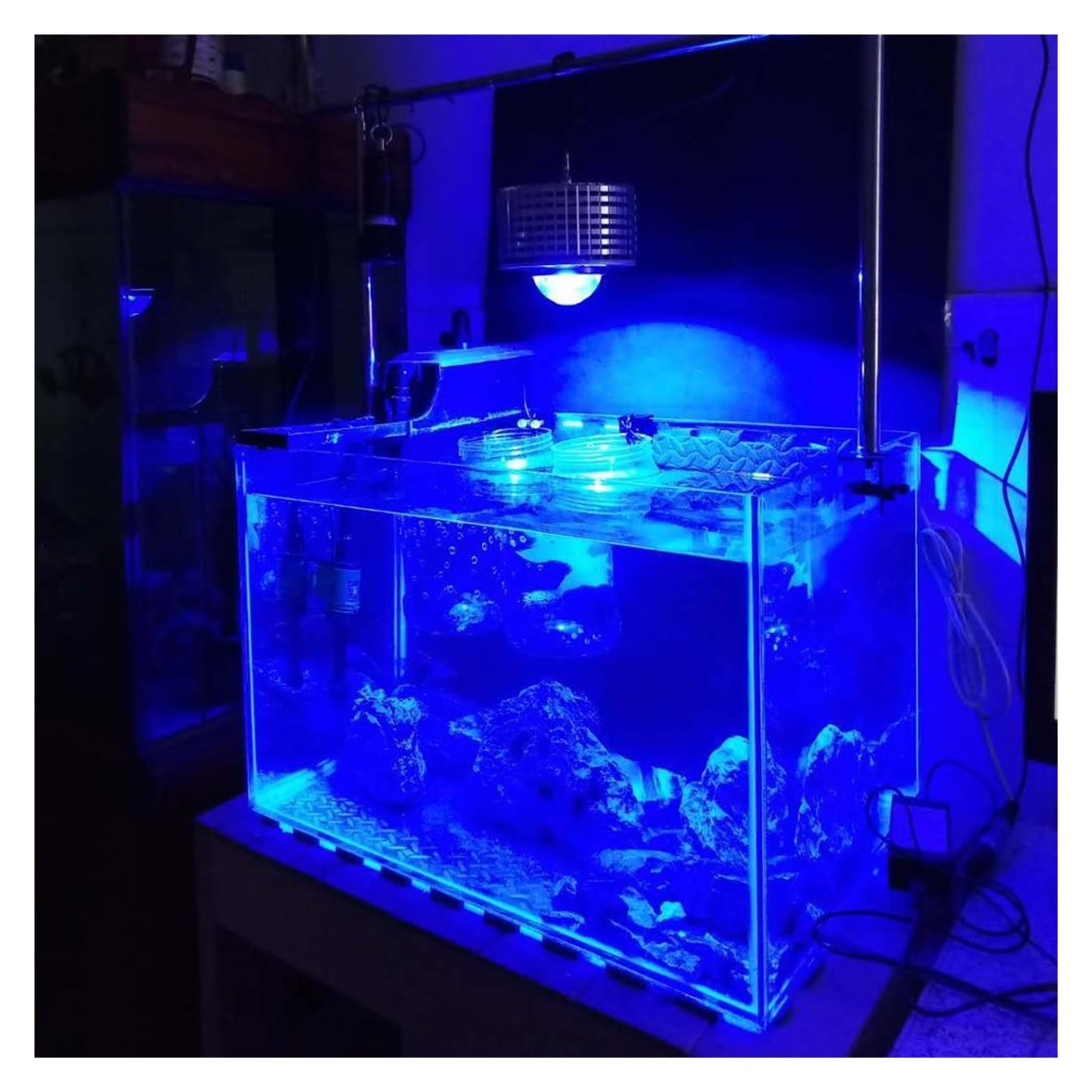iluminación para acuarios 100W Full Spectrum Led Acuario Iluminación Arrecife marino Coral Bombilla de luz for agua salada Tanque de agua dulce Peces para acuario plantado(Mode G_E)