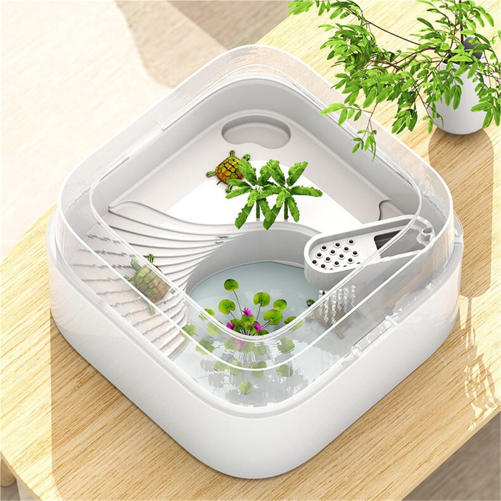 Siedlisko terrarium Kwadratowy zbiornik do karmienia żółwi i proste gospodarstwo domowe z platformą suszenia na słońcu filtrem Terrarium akwariowe(Średni)