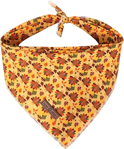 Lionet Paws Bandana de Acción de Gracias para perro, lavable, de algodón, pañuelo triangular, pañuelo de pavo para perros pequeños, medianos y