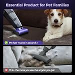 Pet Cheveux Aspirateur sans fil: 20000PA Aspirateur de voiture haute puissance avec brosse motorisée et LED Aspirateur léger et rechargeable à main avec filtre réutilisable pour voiture, maison, bureau & Animaux de compagnie, violet