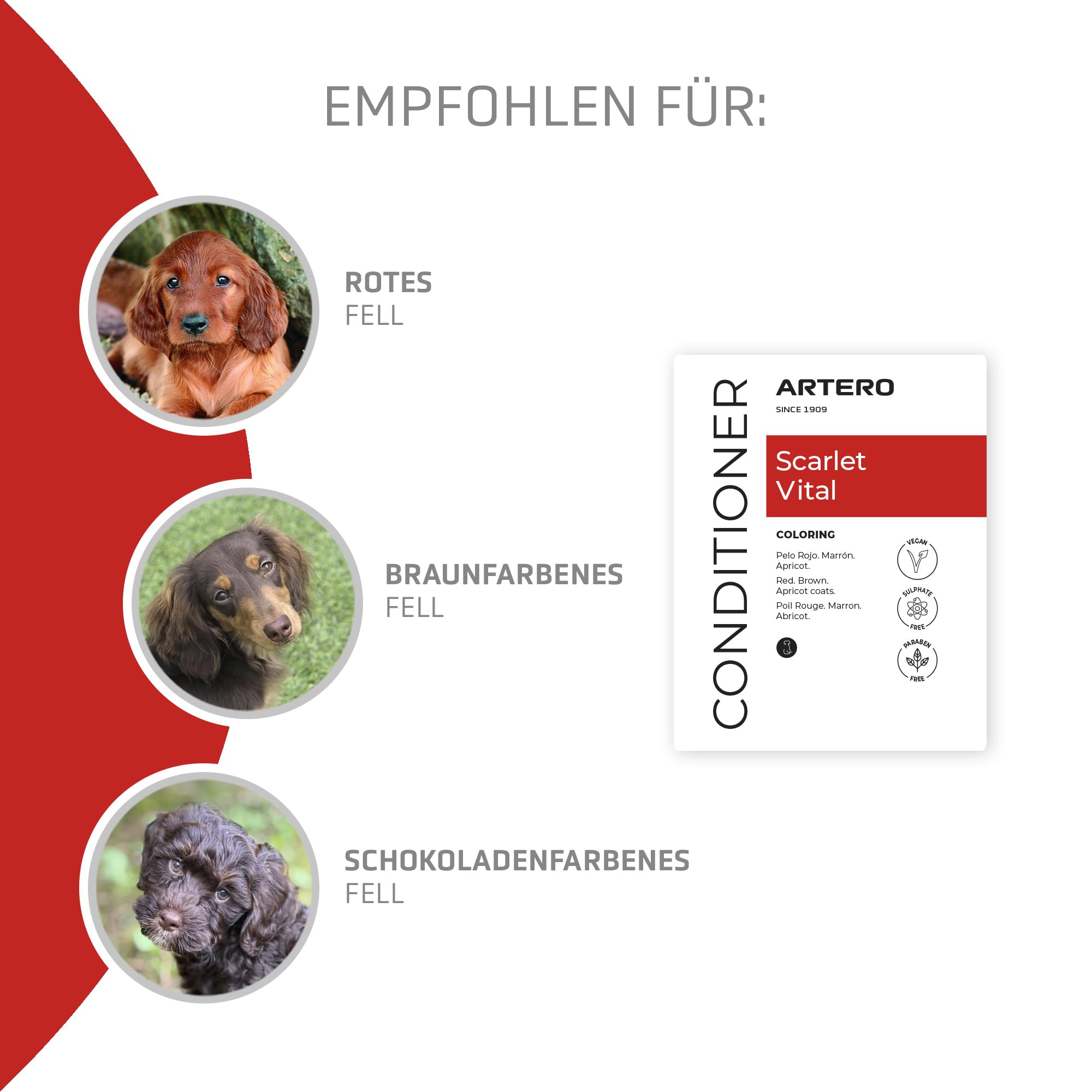 Artero Scarlet Vital Farbintensivierungsmaske für Hunde, Rot, Braun, Schokolade und Apricot, 100 ml