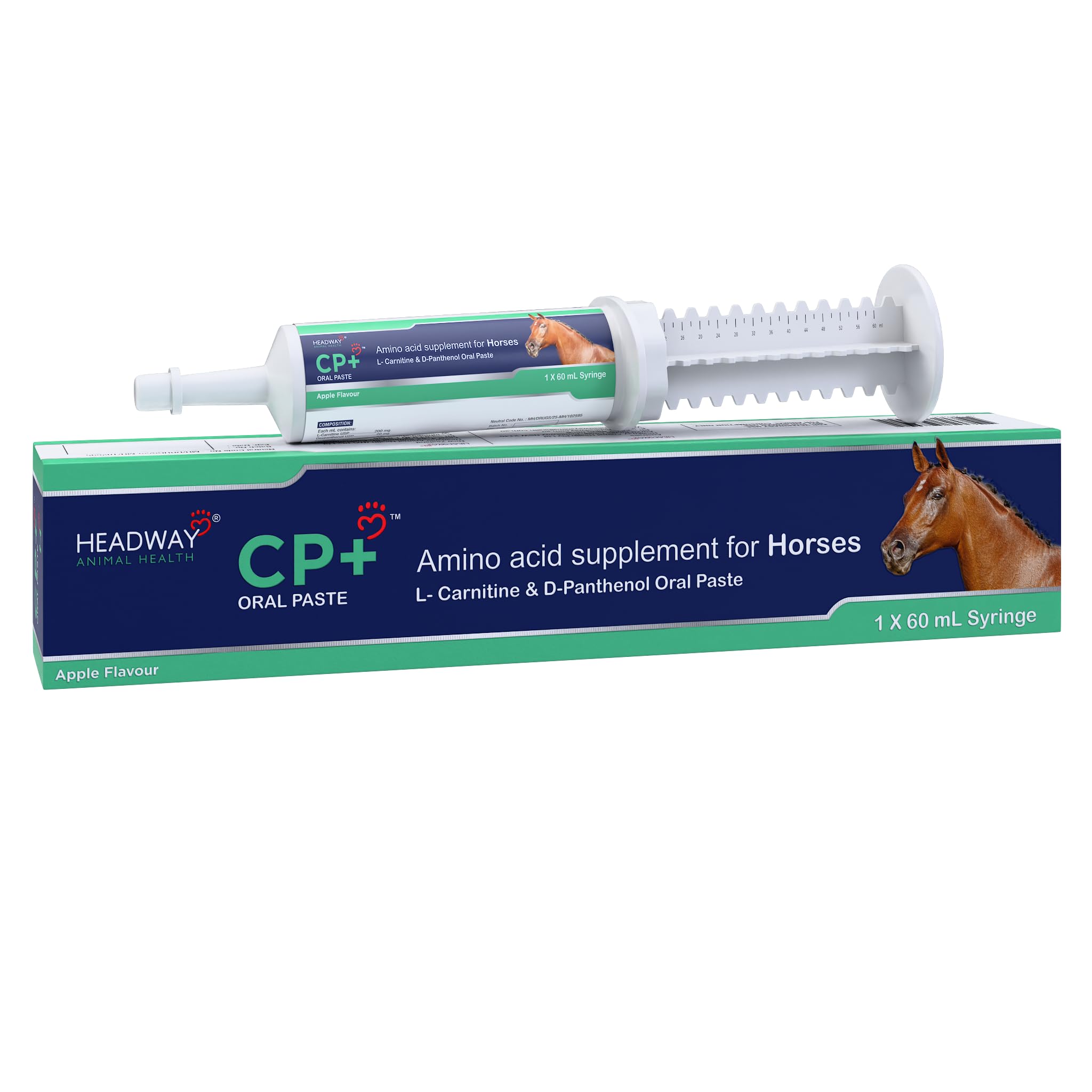 randomized double-blind placebo-controlled trial of acetyl-l-carnitine for als Acetyl-L-Carnitine