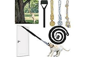 Dog Bungee Toy: The Ultimate Tug-of-War Challenge for Your Canine Companion