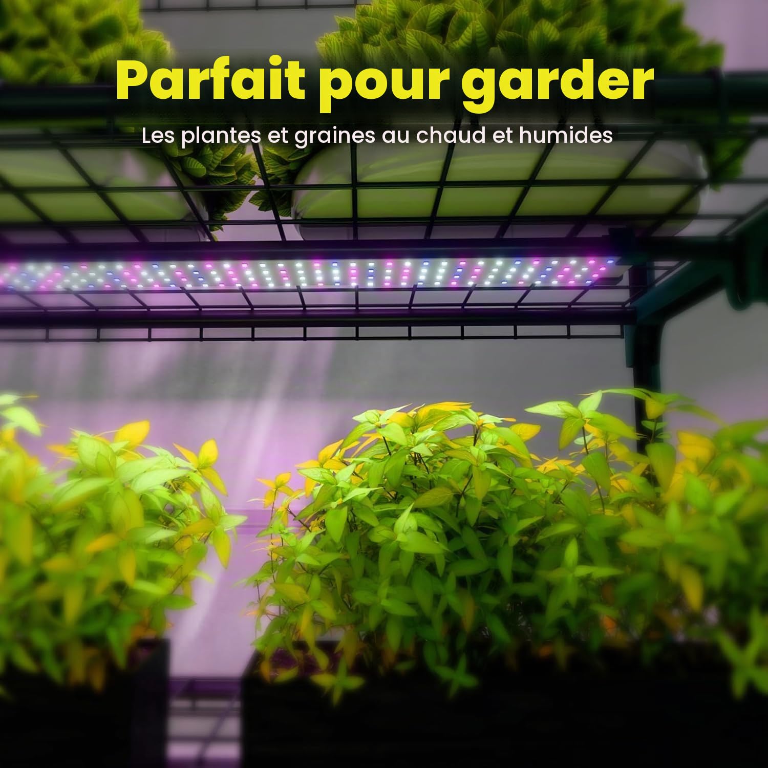 Serre d'intérieur à 4 niveaux avec lampes de croissance à DEL, 68,5 x 48 x 157,5 cm, mini serre, housse en PVC, variateur d'intensité, système de contrôle de minuterie 28 W pour le démarrage des