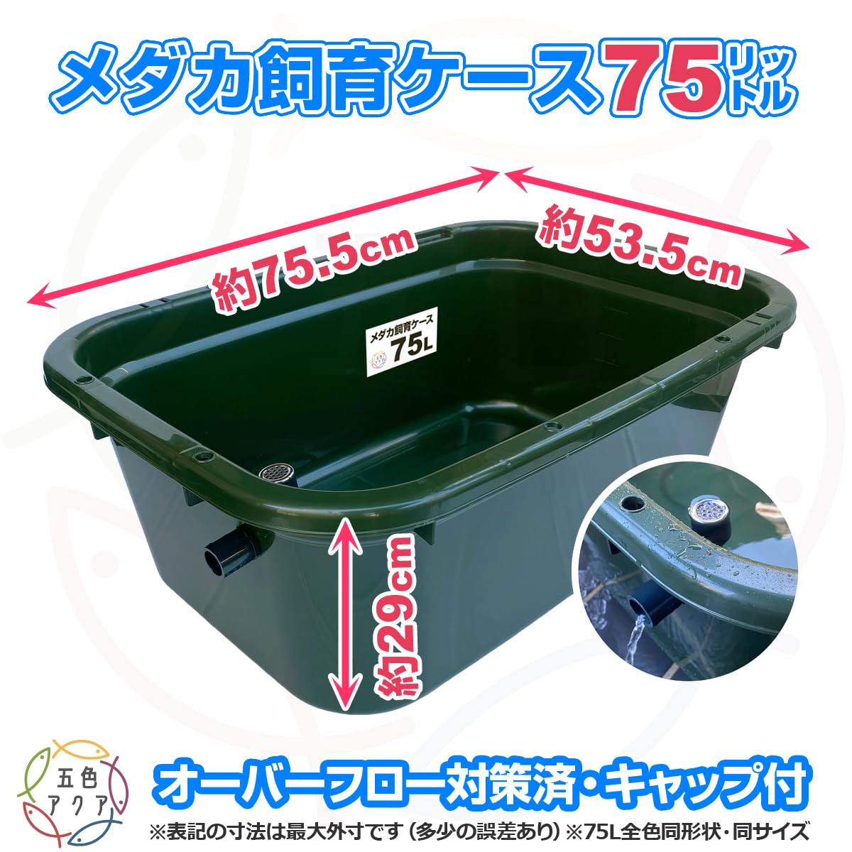 【新仕様】メダカ飼育ケース 75㍑深緑x3個 オーバーフロー対策済 金魚飼育容器 Amazon | 五色アクア メダカ飼育容器 75リットル 深緑（ダーク