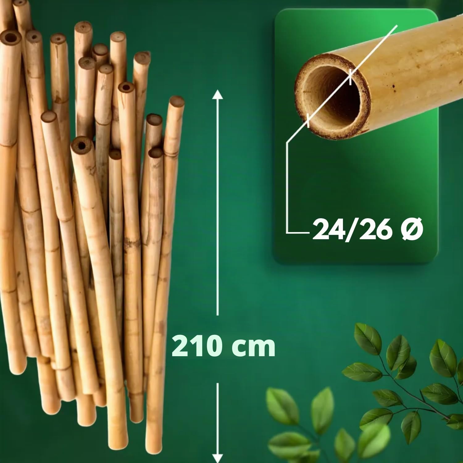 Canne Bambù Giardinaggio Naturali Set 10 Cannette 24/26 Ø x 210 cm Bastoncini Supporto Piante Orto Sostegni Tutore Pali Resistenti Rampicanti Giardino Pomodori Melanzane