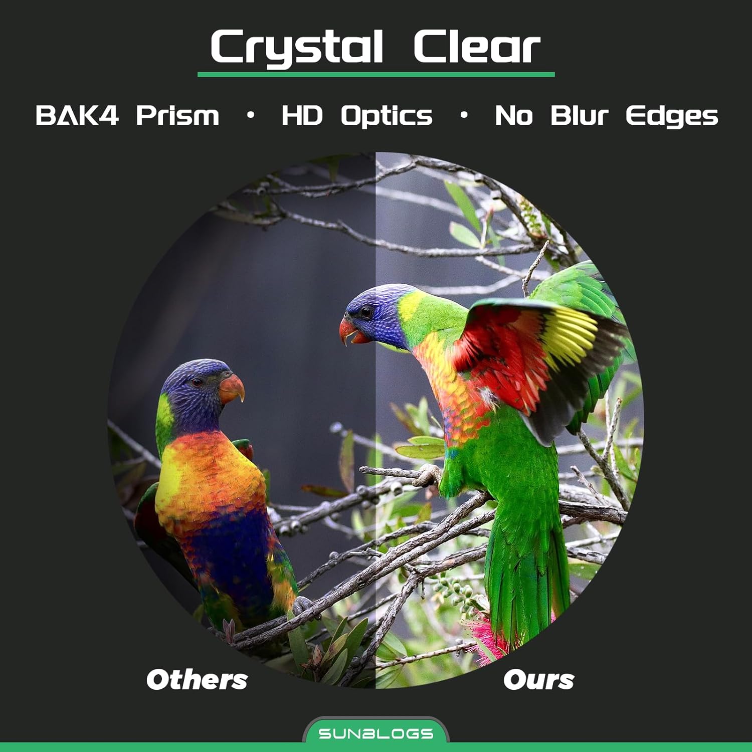 12x42 HD Binoculars for Adults – Waterproof, Lightweight, Clear Low Light Vision – with BAK4 Prism & FMC Lens for Bird Watching, Travel, Concerts & Outdoor Sports (Green) - Image 2