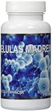 Celulas Madres Stem Cell Enhancer