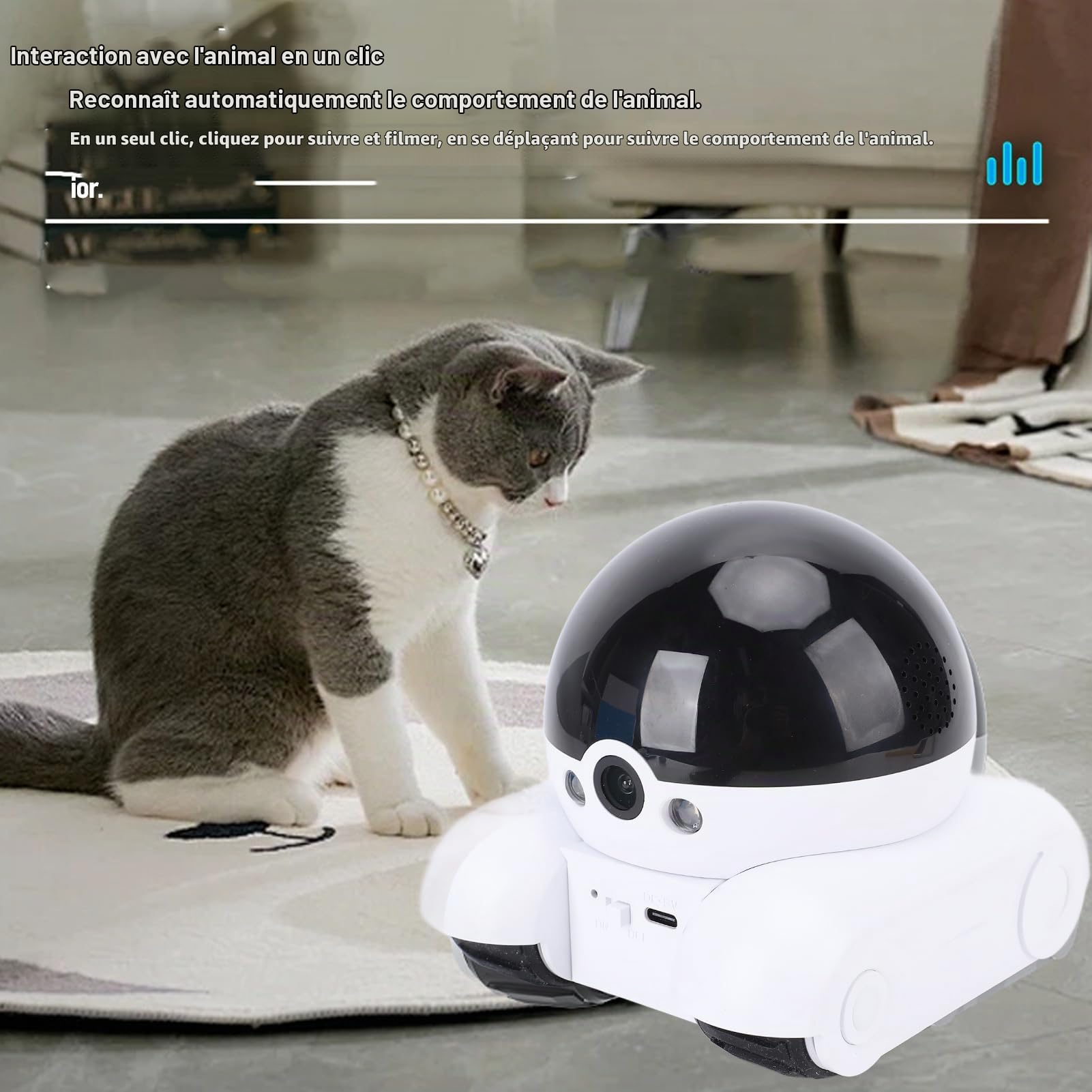Robot de Caméra 1080p 2MP, Caméra pour Animaux de Compagnie Mobile Intérieure avec Application de Téléphone, Conversation Bidirectionnelle, pour Chiens de Chats