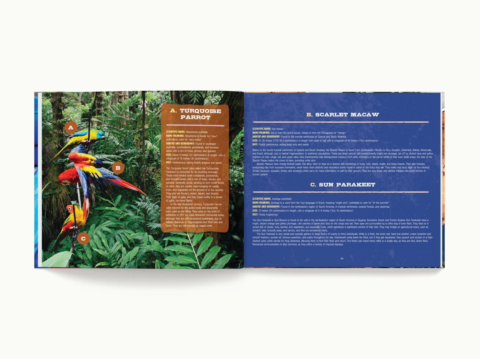 Discovering Birds: The Ultimate Handbook to the Birds of the World - Image 4