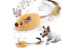 Interactive Electric Mouse for Dogs