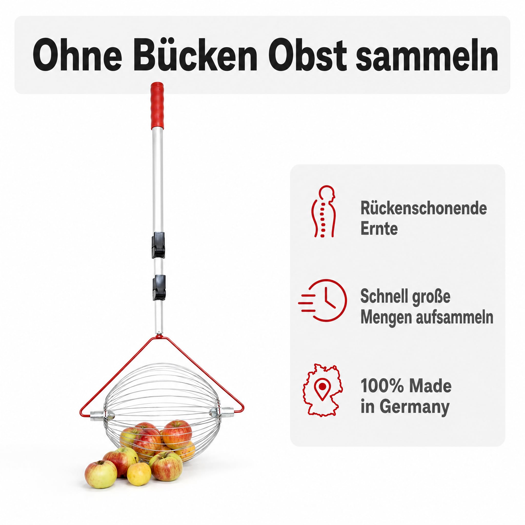 Apfel-Sammler mit Teleskopstab- der Roll-Blitz die kleinste Obstaufsammelmaschine der Welt direkt vom Hersteller für Apfel, Birnen