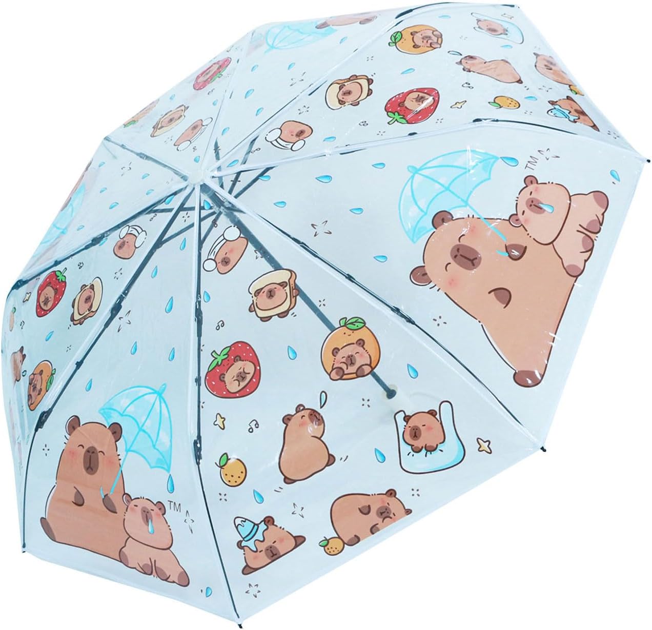 yuki 究極 雪桜と夜遊び兎 50台限定生産品（洗濯機、冷蔵庫