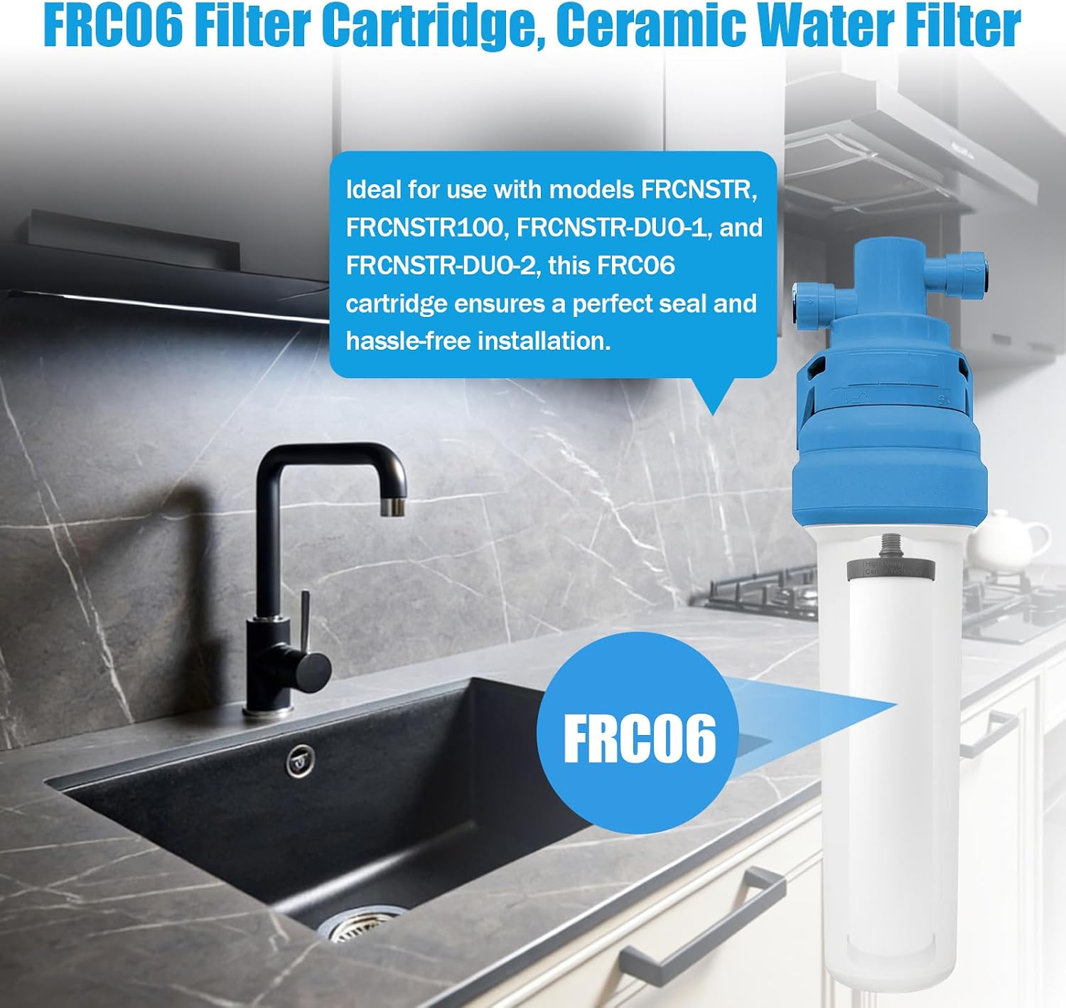FRC06 Filter Cartridge, Ceramic Water Filter for Franke FRCNSTR Models FRCNSTR100、FRCNSTR-DUO-1、FRCNSTR-DUO-2 Filter Kitchen Sink - 2 PCS
