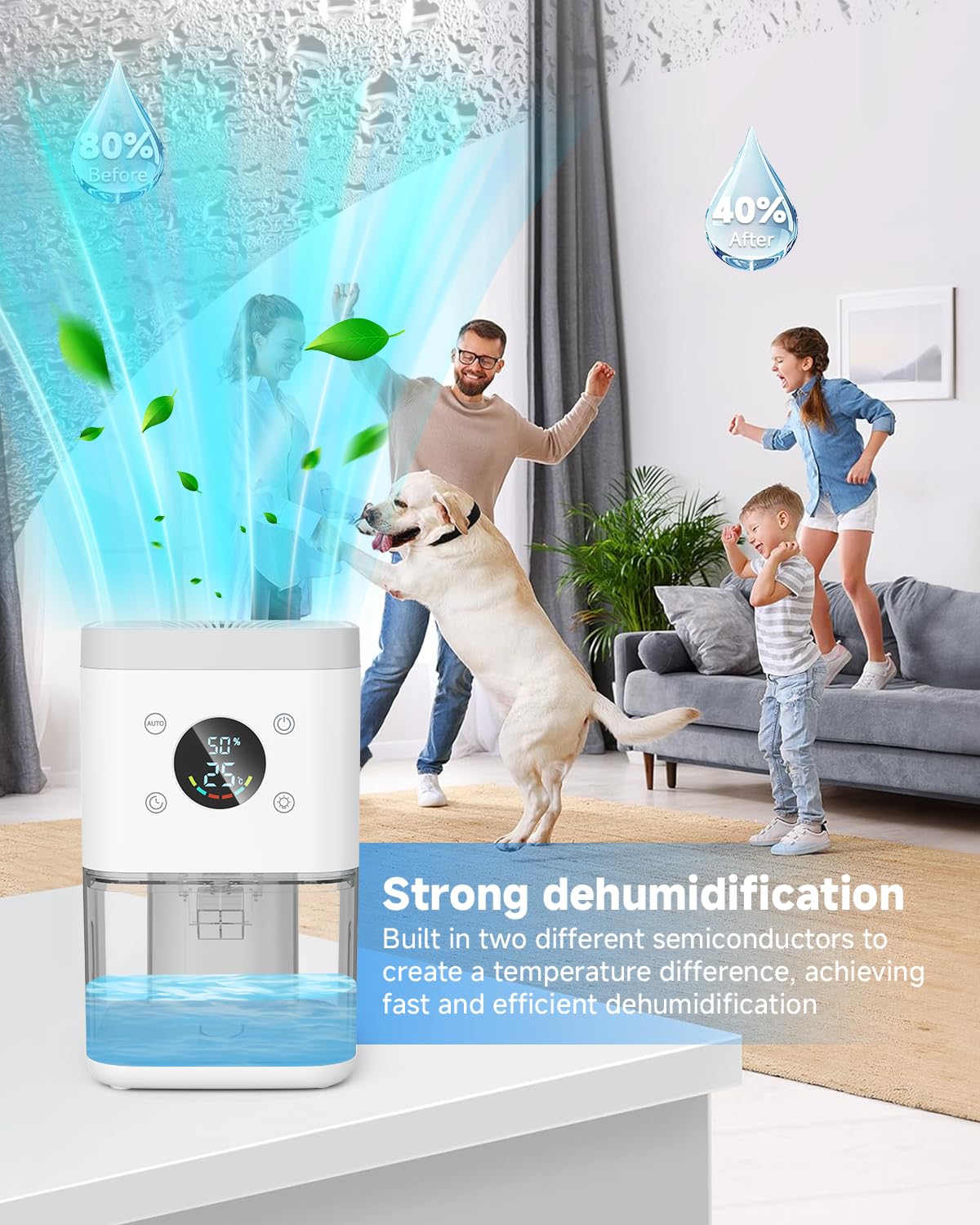 Deumidificatore 1800ML, Deumidificatore Casa Muffa, Desumidificatore silenzioso con timer, filtro e disiumidificazione intelligente, purificatore dell'aria-Bianco