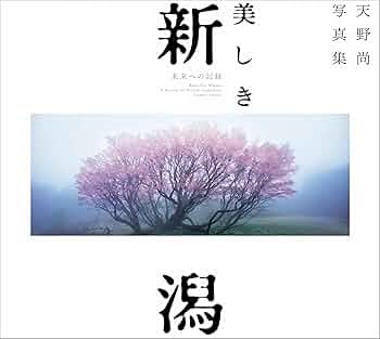 天野　尚写真集　直筆サインと直筆タイトルと捺印入りの希少写真集ラストアマゾン 71LKYcHQXjL._UF350,350_QL50_.jpg