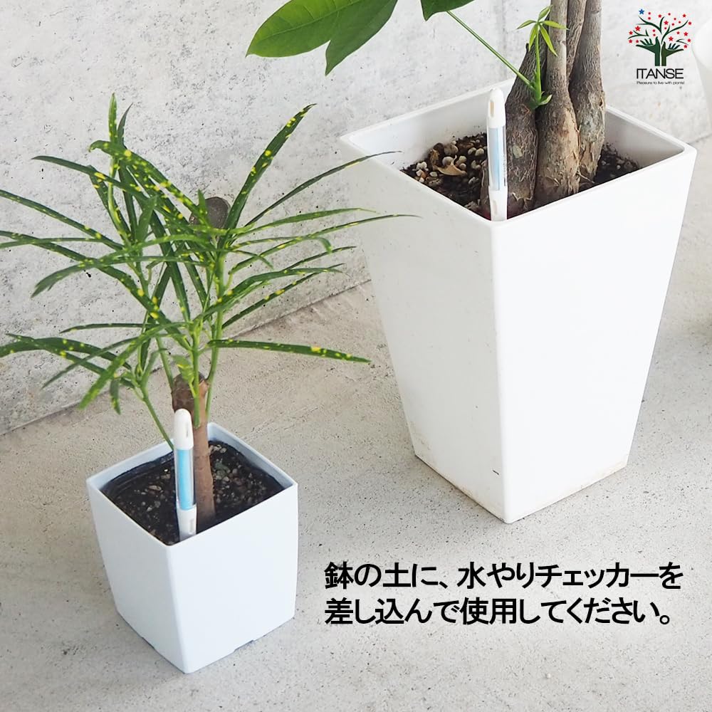 Amazon.co.jp: 水やりチェッカーMサイズ 3.5～6号鉢用 色：ホワイト 4